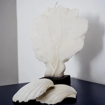 Le Casette Sul Mare - Panzió 4*